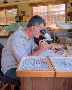 Regular monitoring of the insect population allows us to gauge the health of the ecosystem on our farms.