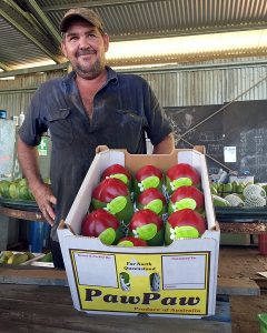 Ecoganic® PawPaws