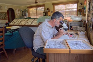 Regular monitoring of the insect population allows us to gauge the health of the ecosystem on our farm.