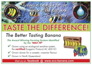 Eco Banana "Taste the Difference" A4 poster