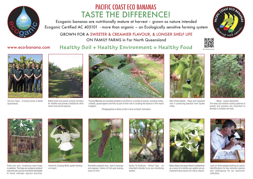 Eco Banana poster produced and supplied to Harris Farms stores - 2013